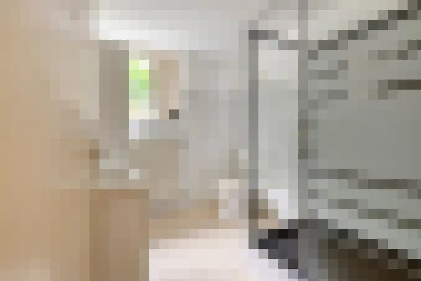 Looveltlaan 90 Oss thumbnail 17