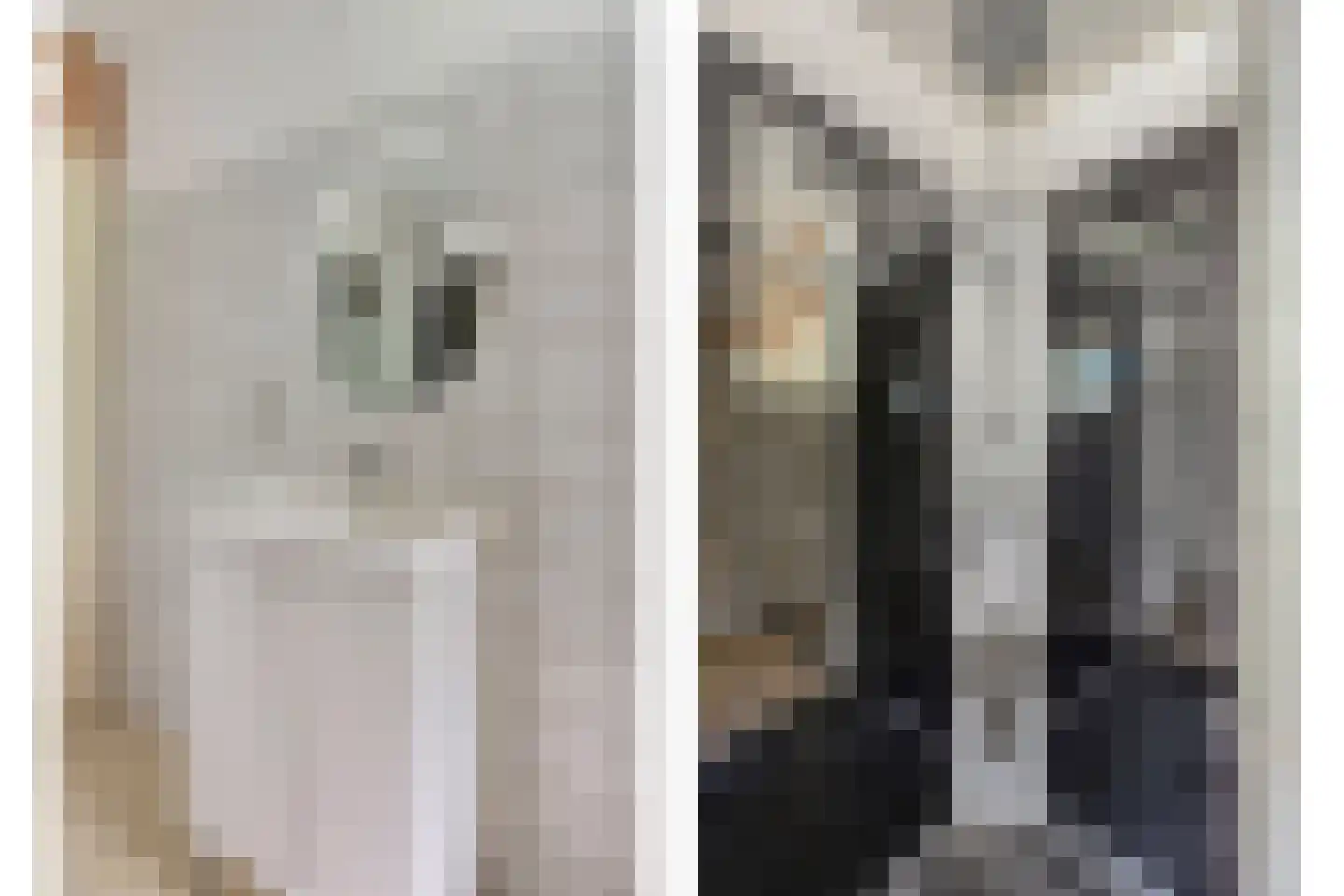 Looveltlaan 90 Oss thumbnail 18