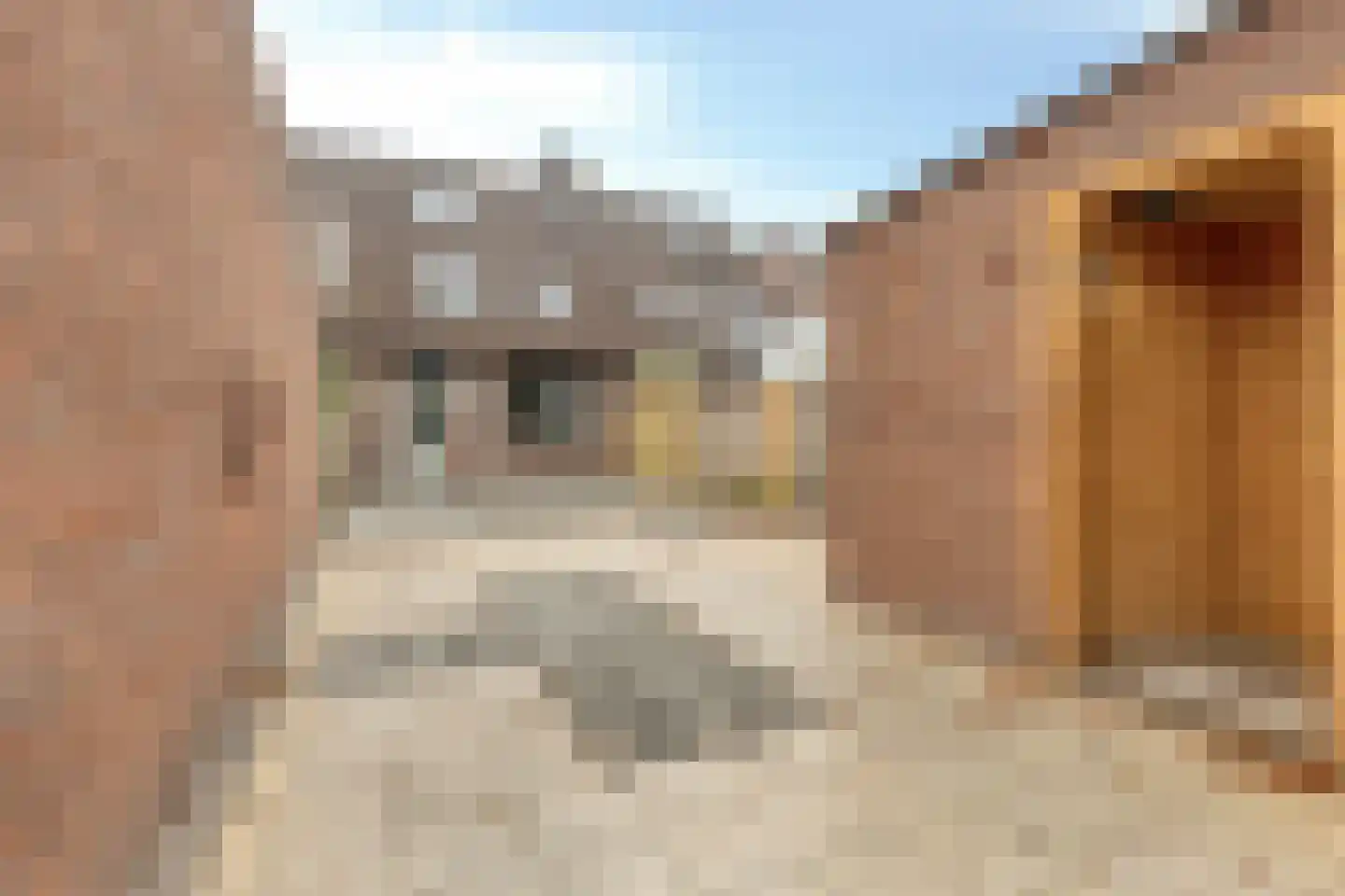 Looveltlaan 90 Oss thumbnail 24