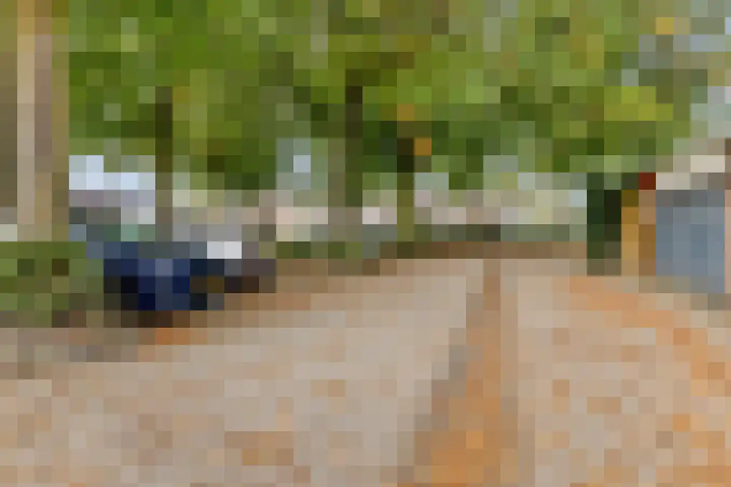 Looveltlaan 90 Oss thumbnail 29