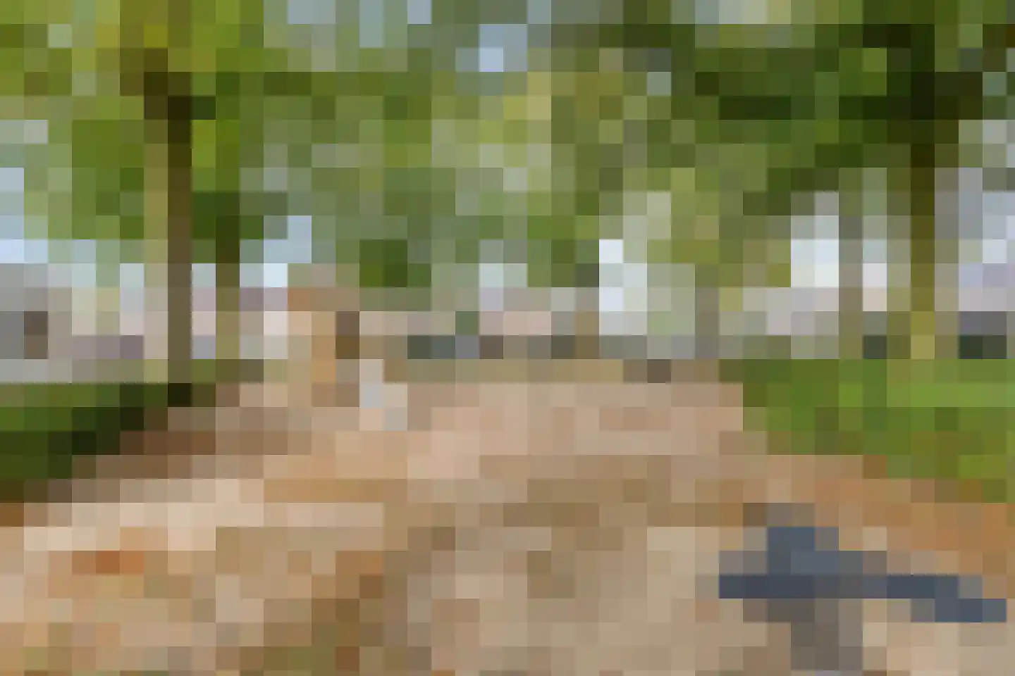 Looveltlaan 90 Oss thumbnail 31