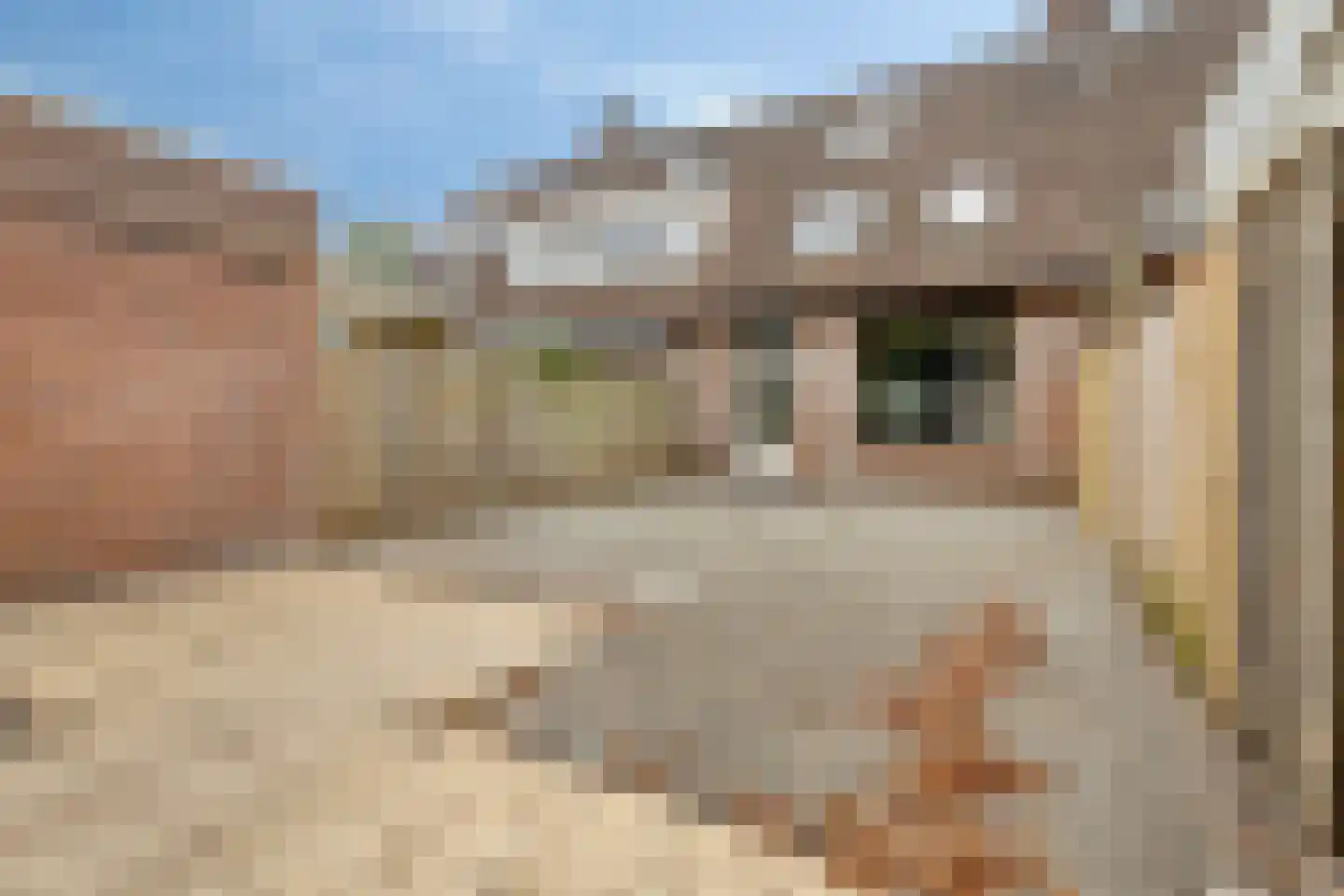 Looveltlaan 90 Oss thumbnail 5