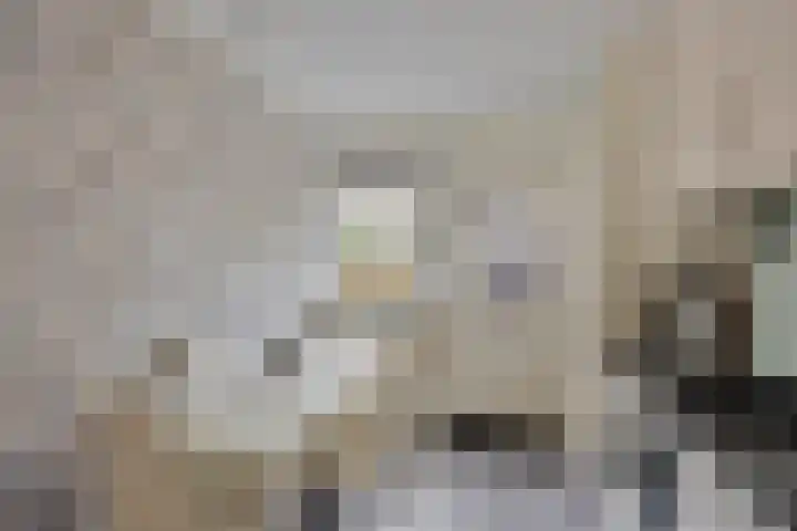 Loowaard 24 Almelo thumbnail 18