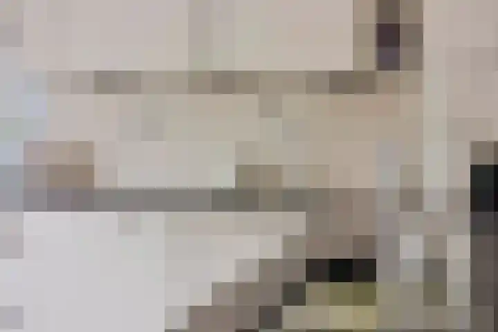 Loowaard 24 Almelo thumbnail 20