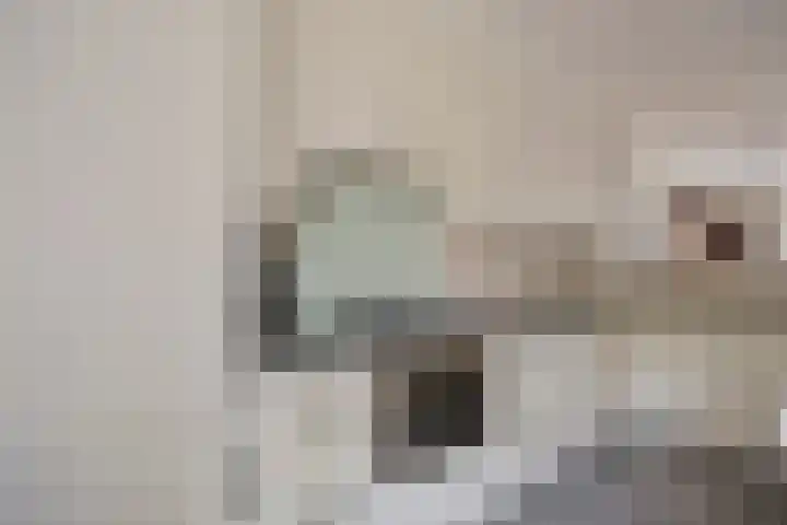 Loowaard 24 Almelo thumbnail 21