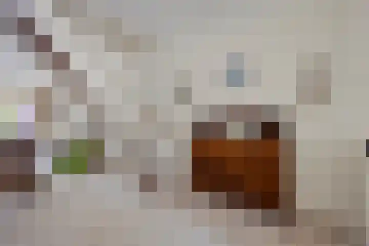 Loowaard 24 Almelo thumbnail 24