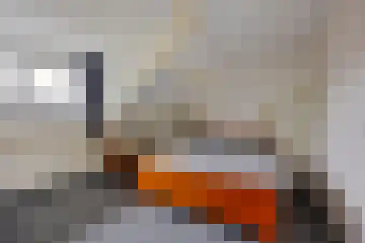 Loowaard 24 Almelo thumbnail 26