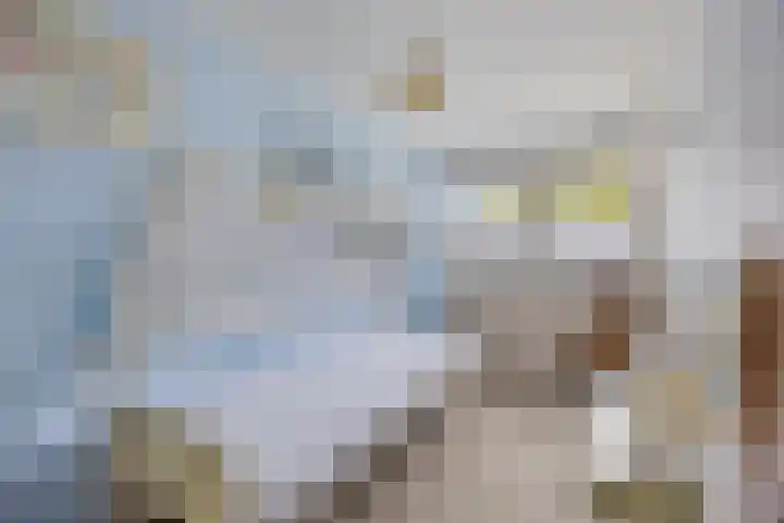Loowaard 24 Almelo thumbnail 31