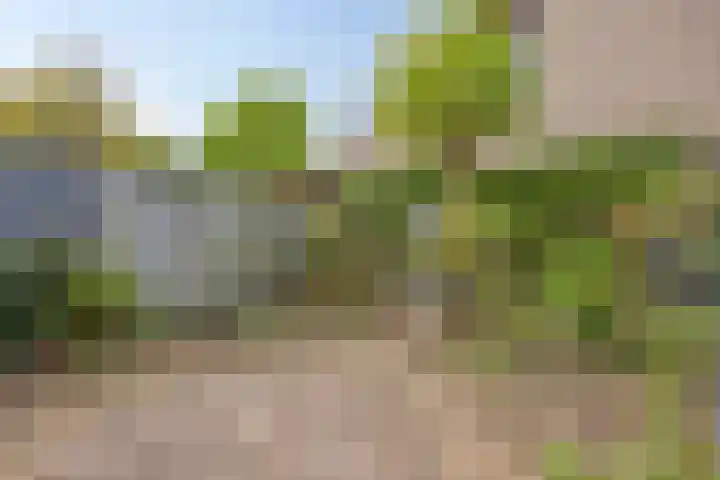Loowaard 24 Almelo thumbnail 34