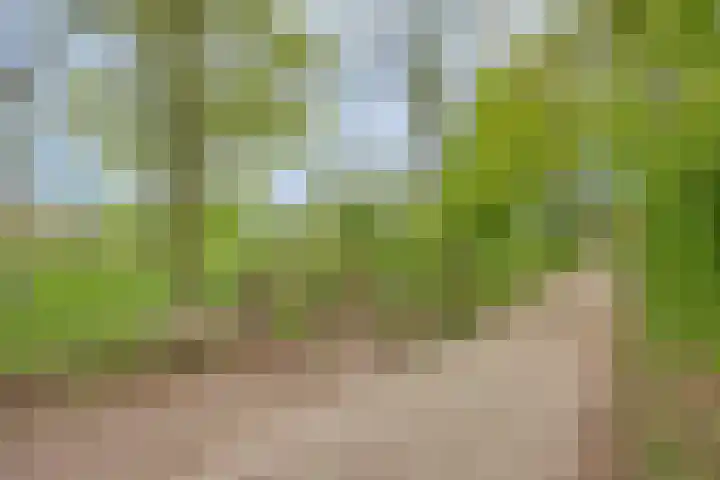 Loowaard 24 Almelo thumbnail 38