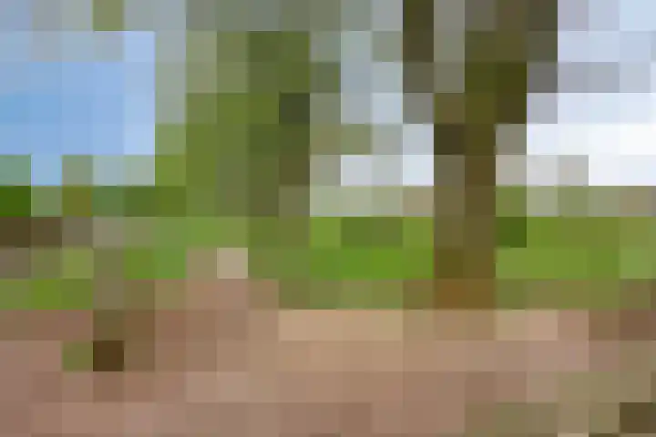 Loowaard 24 Almelo thumbnail 39