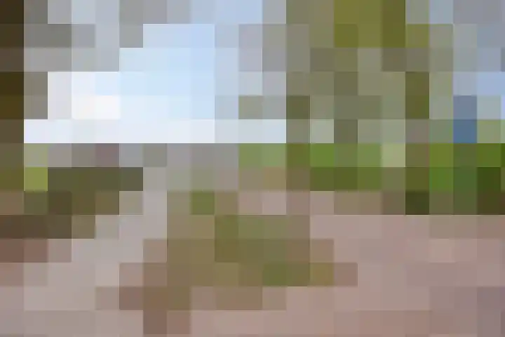 Loowaard 24 Almelo thumbnail 40