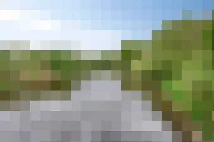Loowaard 24 Almelo thumbnail 41
