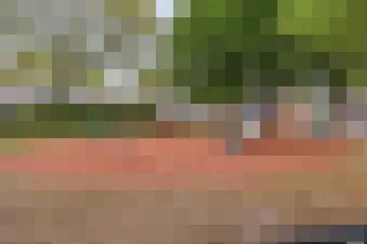 Loowaard 24 Almelo thumbnail 42