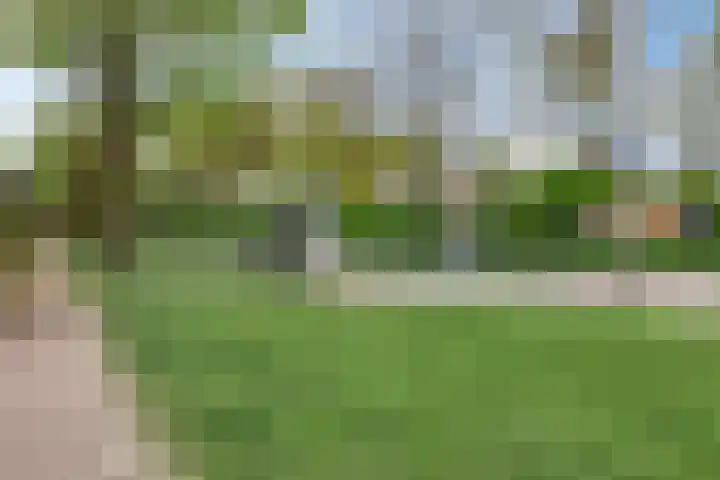 Loowaard 24 Almelo thumbnail 43