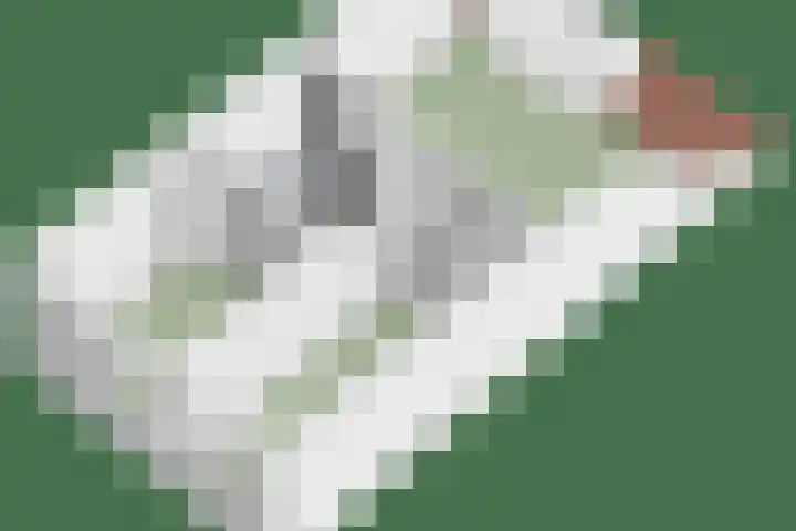 Loowaard 24 Almelo thumbnail 48