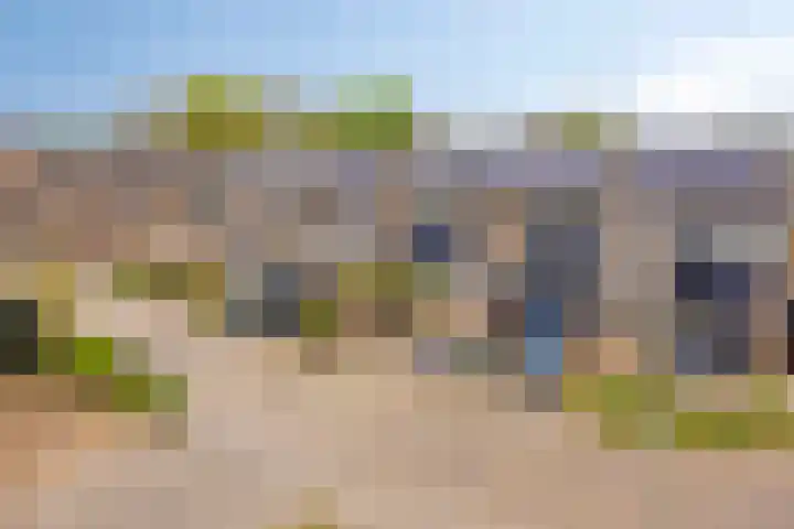 Loowaard 24 Almelo thumbnail 6