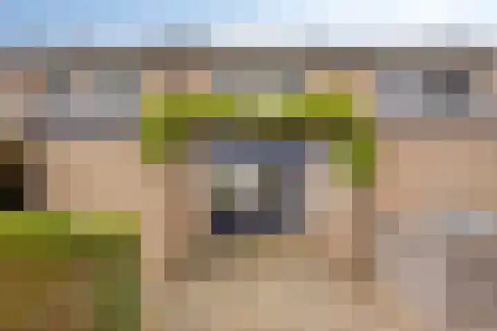 Loowaard 24 Almelo thumbnail 7