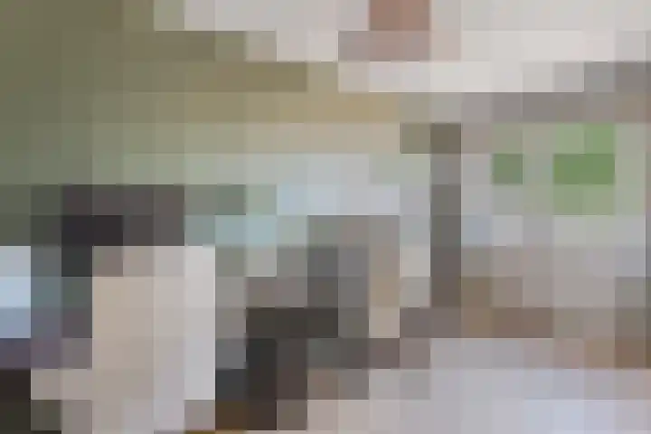 Loowaard 3 Almelo thumbnail 15