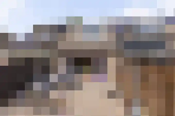 Loowaard 3 Almelo thumbnail 17