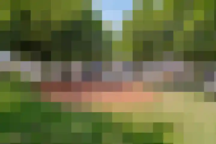 Loowaard 3 Almelo thumbnail 19