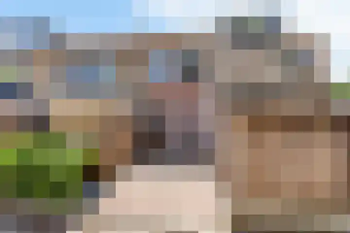 Loowaard 3 Almelo thumbnail 23