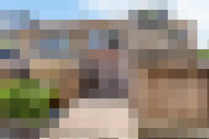 Loowaard 3 Almelo thumbnail 5