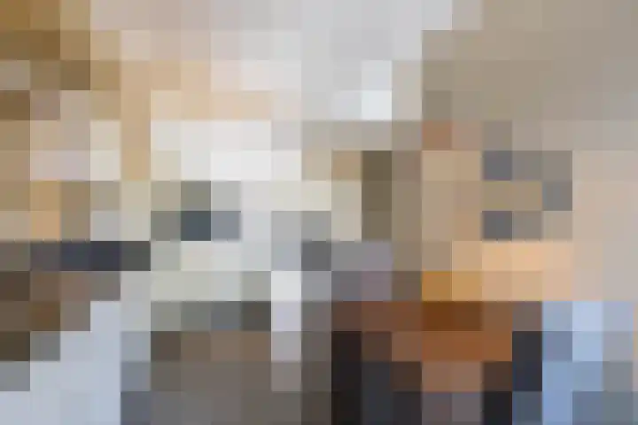 Loowaard 31 Almelo thumbnail 11