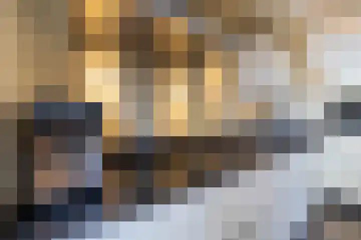 Loowaard 31 Almelo thumbnail 12