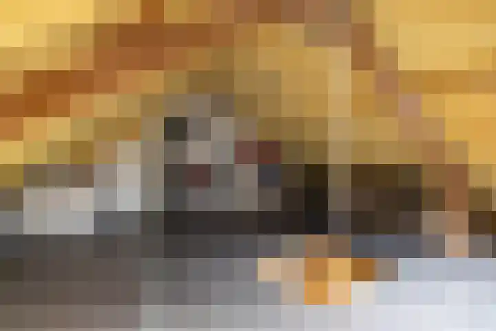 Loowaard 31 Almelo thumbnail 20