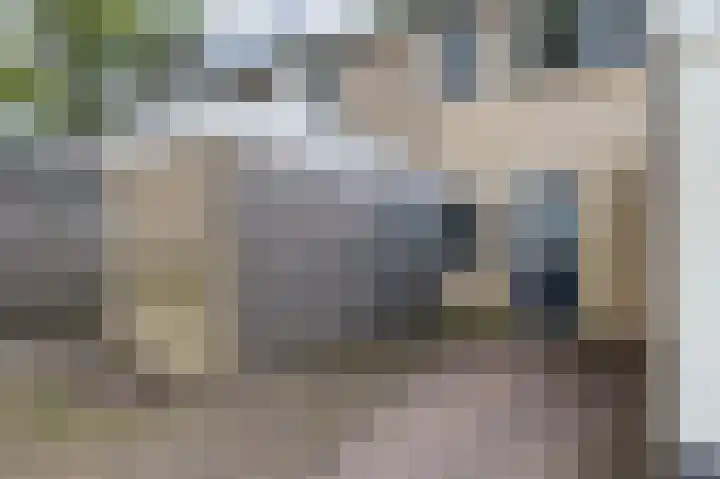Loowaard 31 Almelo thumbnail 23