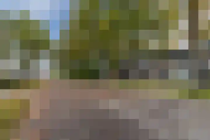 Loowaard 31 Almelo thumbnail 24