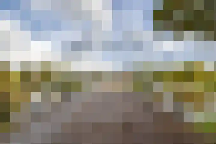 Loowaard 31 Almelo thumbnail 25