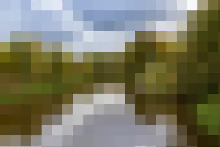 Loowaard 31 Almelo thumbnail 26