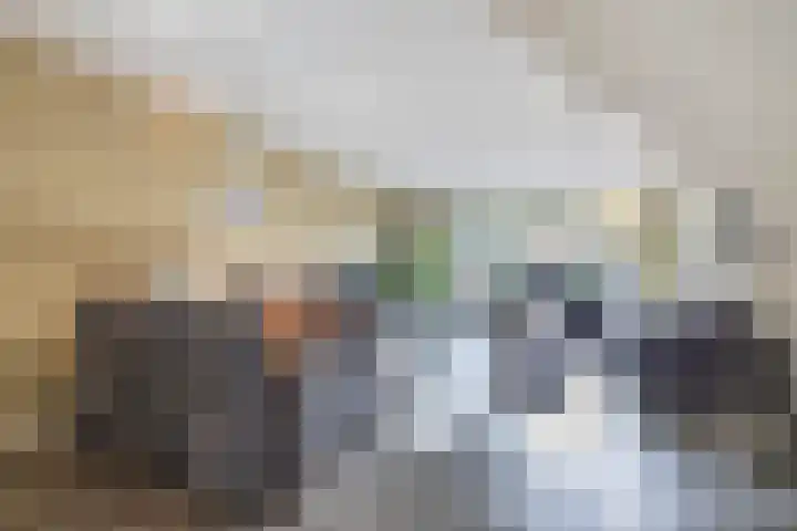 Loowaard 31 Almelo thumbnail 8