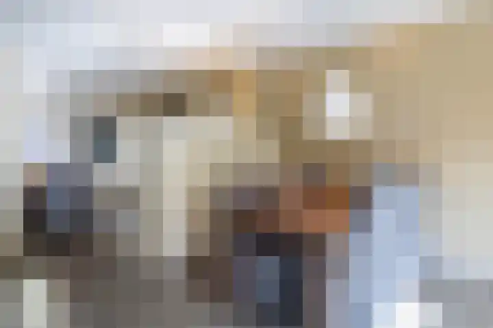 Loowaard 31 Almelo thumbnail 9