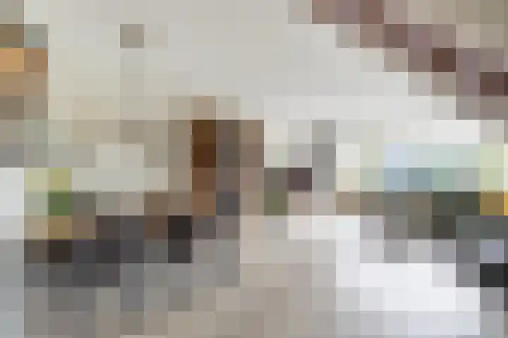 Loowaard 9 Almelo thumbnail 12