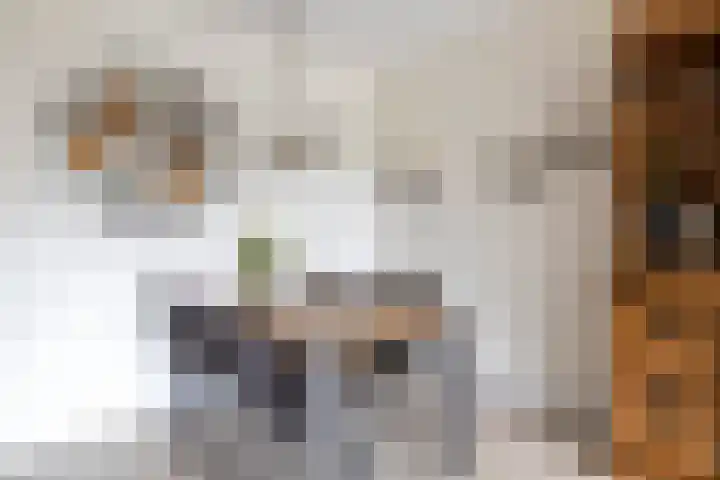 Loowaard 9 Almelo thumbnail 13