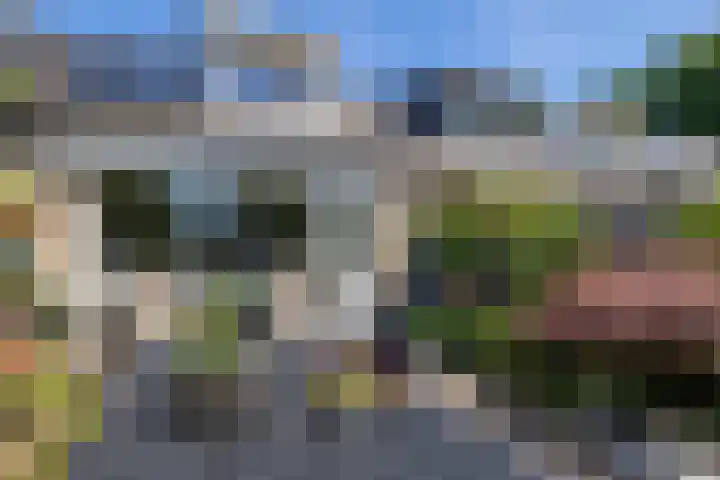 Loowaard 9 Almelo thumbnail 22