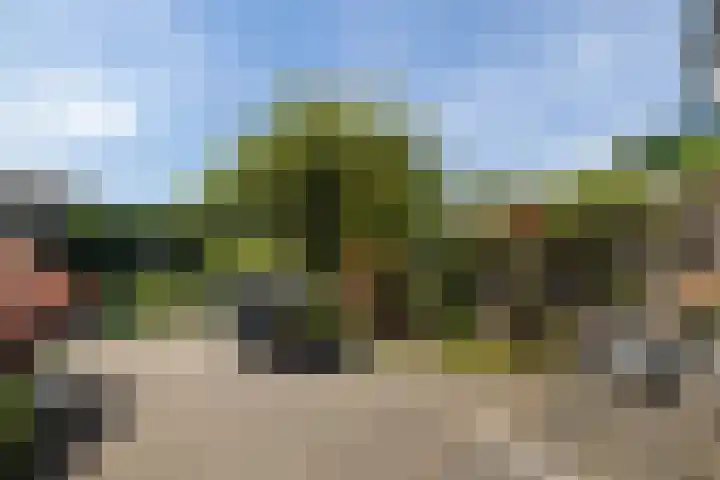 Loowaard 9 Almelo thumbnail 23