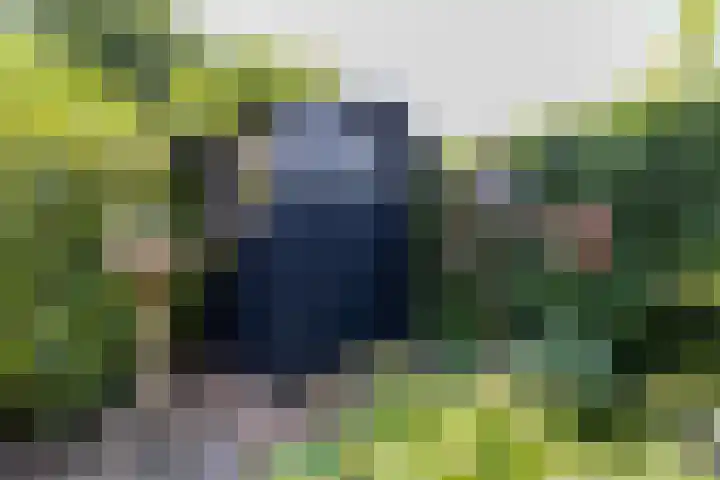 Loowaard 9 Almelo thumbnail 24
