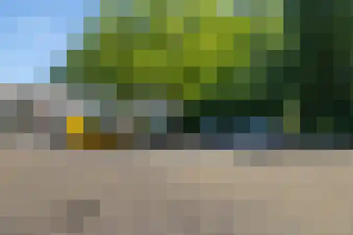 Loowaard 9 Almelo thumbnail 25