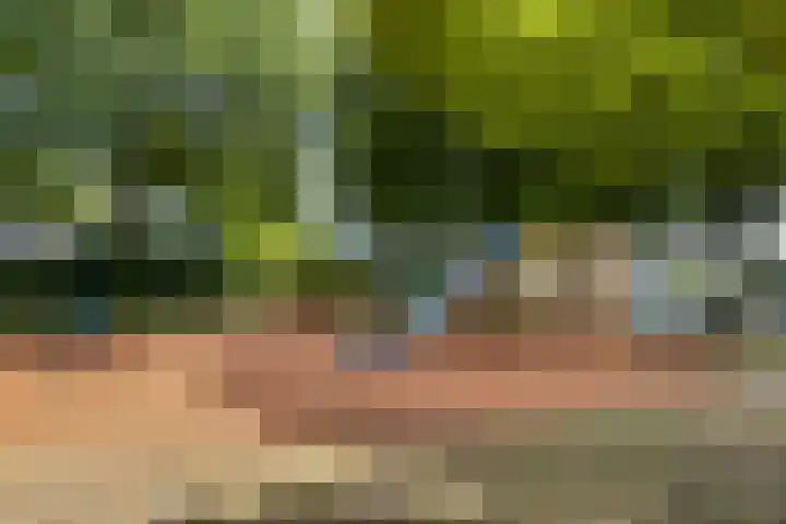 Loowaard 9 Almelo thumbnail 26