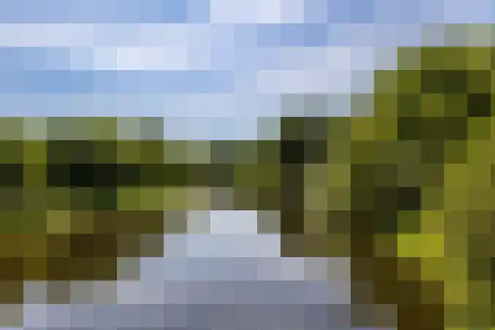 Loowaard 9 Almelo thumbnail 27