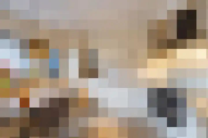 Loowaard 9 Almelo thumbnail 6