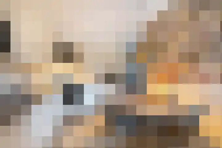 Loowaard 9 Almelo thumbnail 7