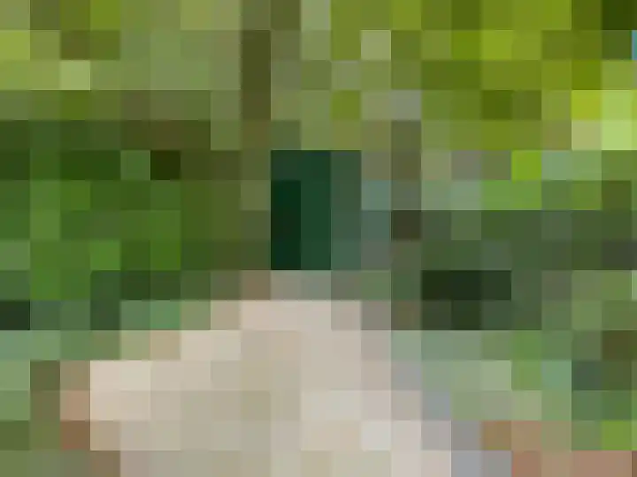 Looweg 10 36 Ermelo thumbnail 11
