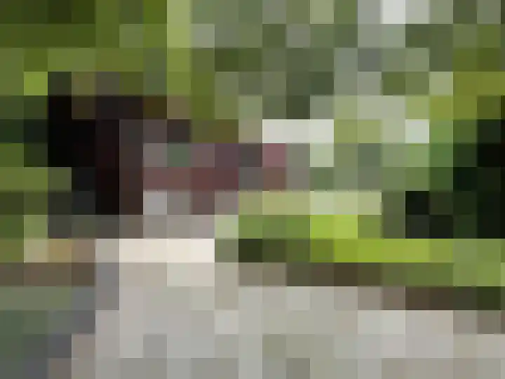 Looweg 10 36 Ermelo thumbnail 12