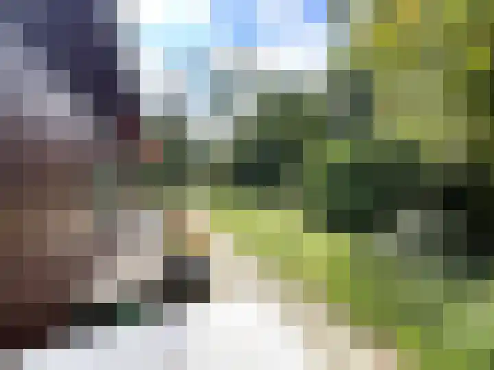 Looweg 10 36 Ermelo thumbnail 13