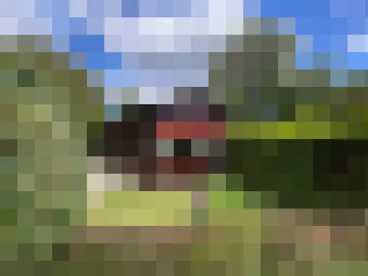 Looweg 10 36 Ermelo thumbnail 15